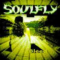 soulfly.jpg (6533 bytes)